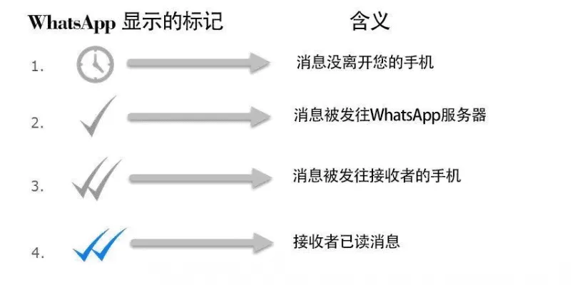 深度剖析：WhatsApp 单钩究竟代表什么意思