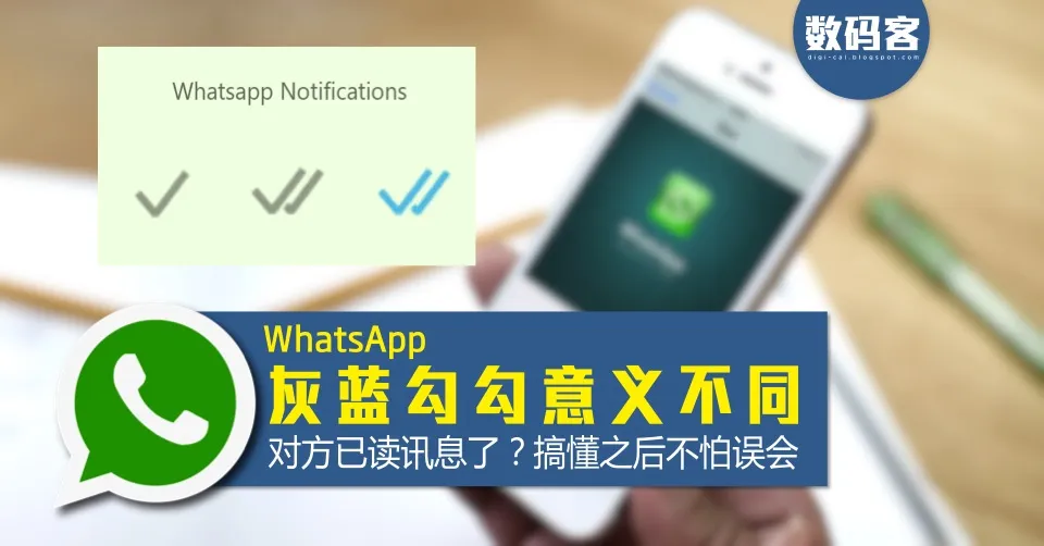 深度剖析：WhatsApp 单钩究竟代表什么意思
