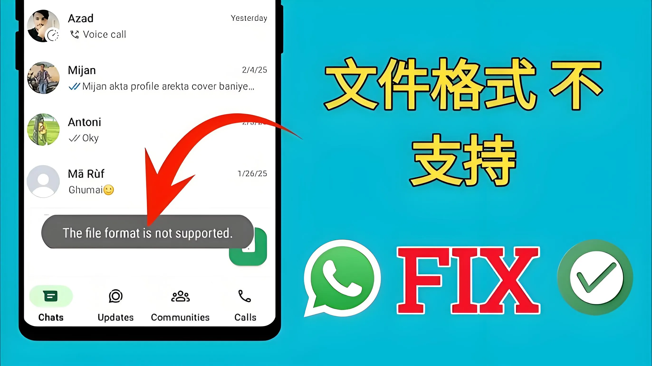 WhatsApp文档类型全解析