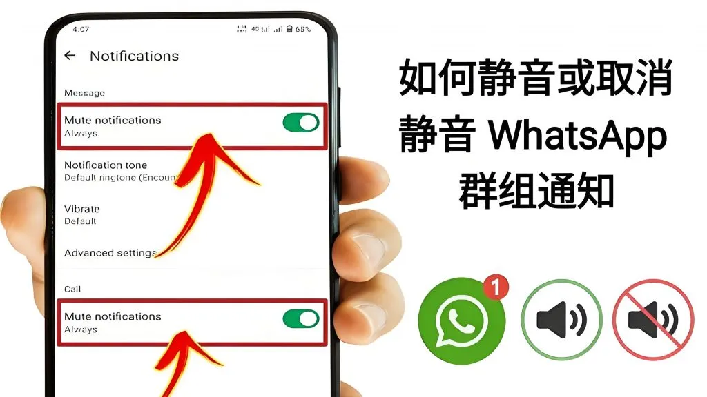 WhatsApp如何开启勿扰模式？完整操作教程