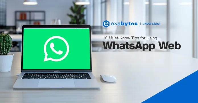 WhatsApp消息自毁功能设置方法，新手必看