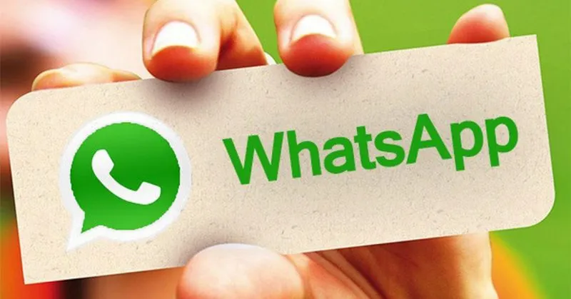 WhatsApp可以发送PDF吗？完整教程