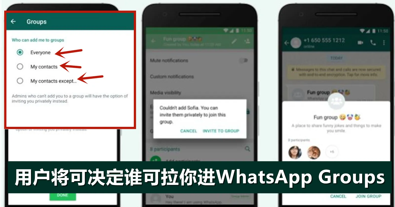 WhatsApp群公告檢視教學