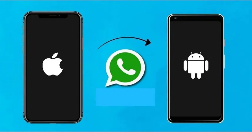 WhatsApp 聊天記錄匯出全攻略